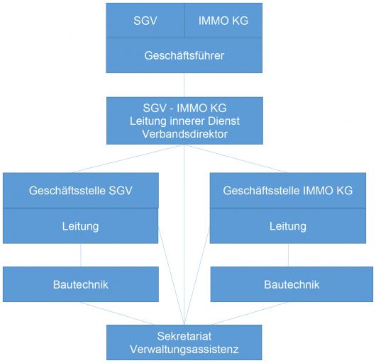 Organigramm Verbandsorganisation